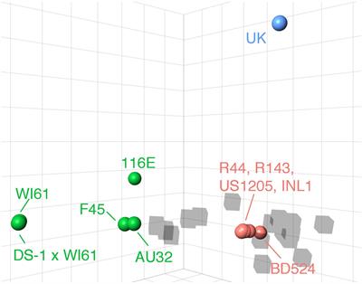 Leveraging a Validated in silico Approach to Elucidate - Frontiers